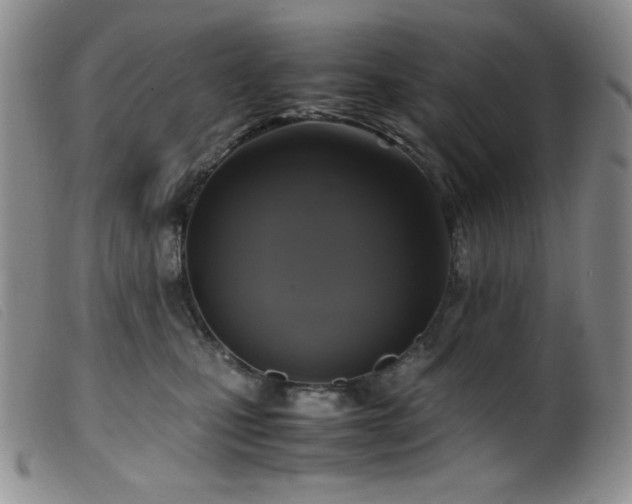 X0000099550471200805161456