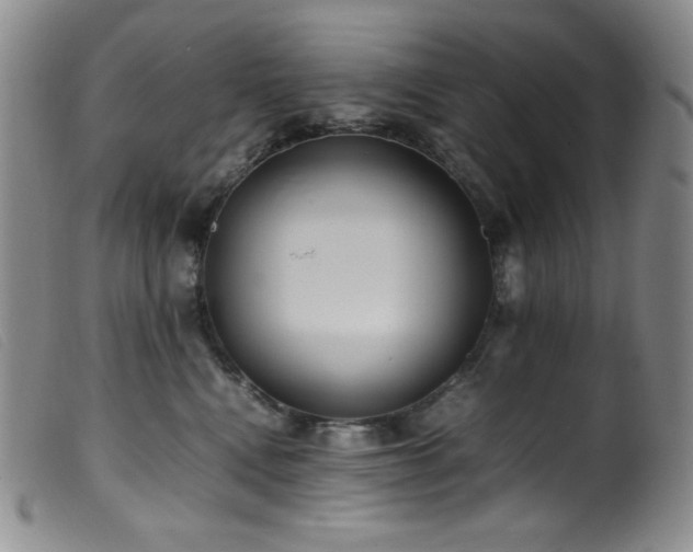 X0000099550472200805161456