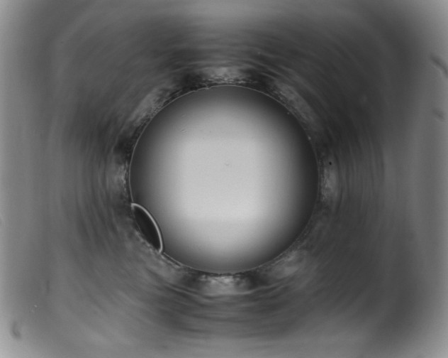 X0000099550473200805161456