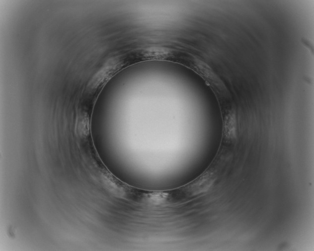X0000099550474200805161456