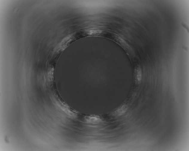 X0000099550475200805161456