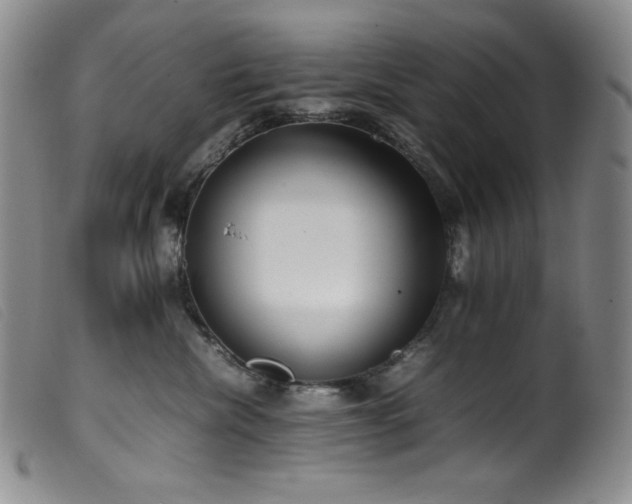X0000099550476200805161456