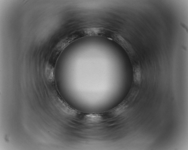 X0000099550477200805161456