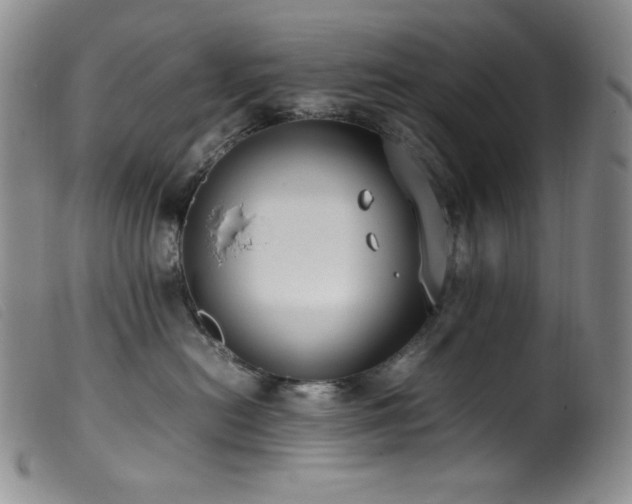 X0000099550478200805161457