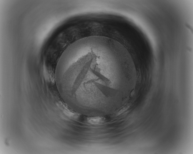 X0000099550479200805161457