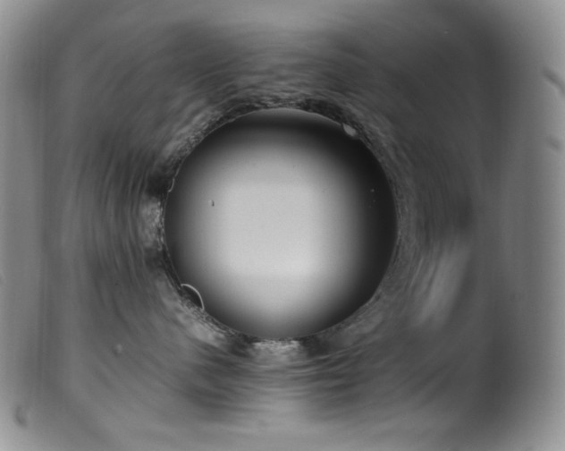 X0000099550480200805161457