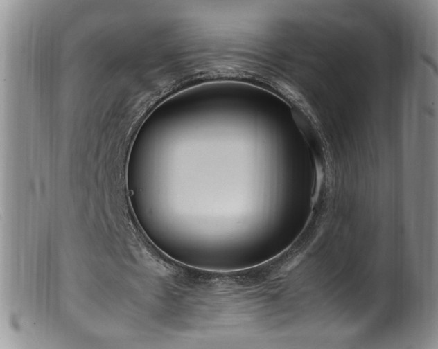 X0000099550481200805161456