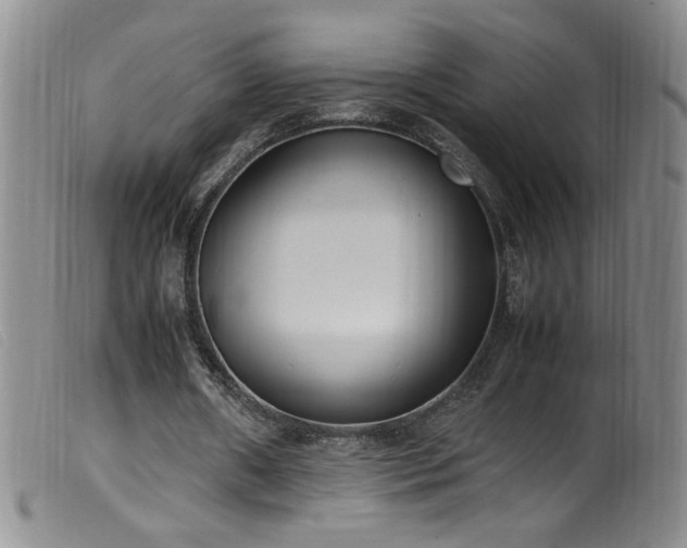 X0000099550482200805161456