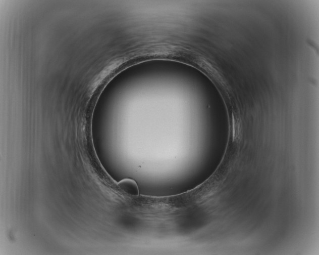X0000099550483200805161456