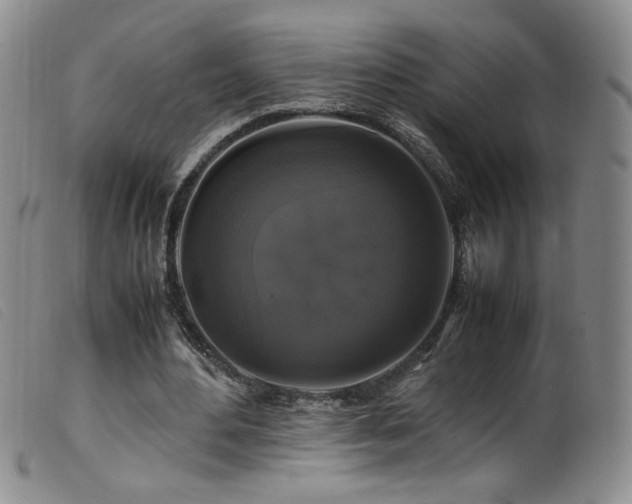 X0000099550484200805161456
