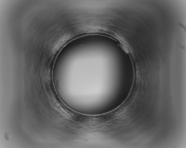 X0000099550485200805161456