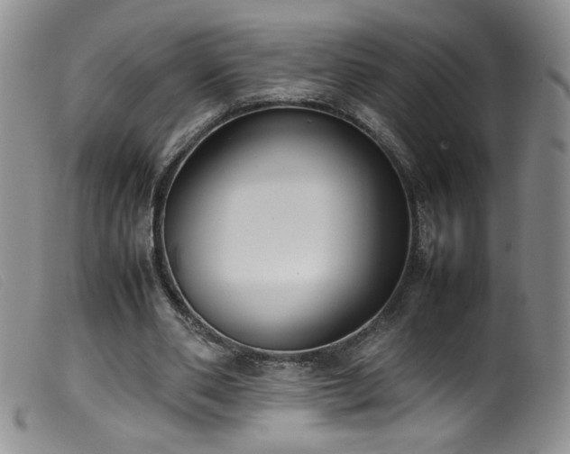 X0000099550486200805161456
