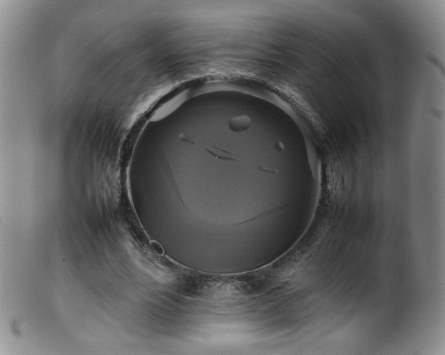 X0000099550488200805161456