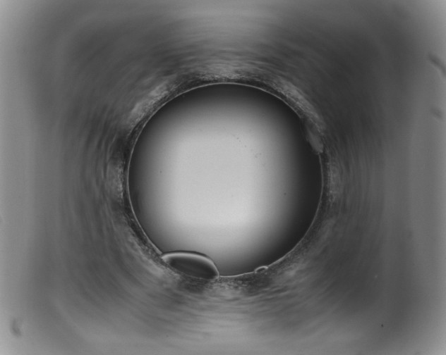 X0000099550489200805161456