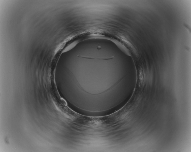 X0000099550492200805161456