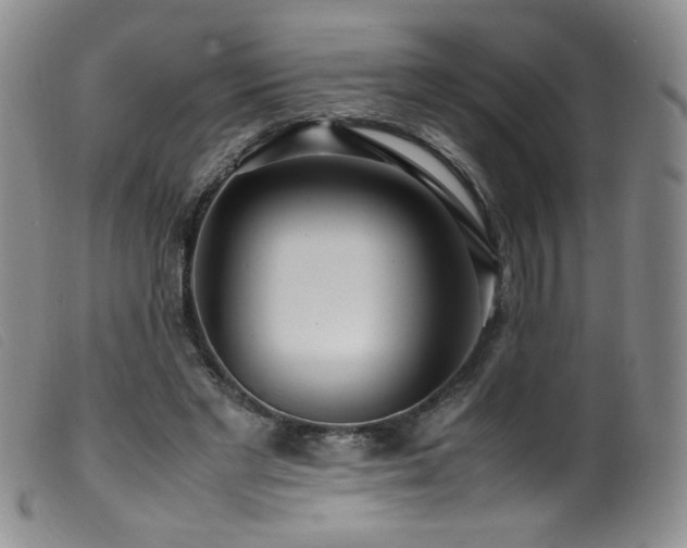 X0000099550493200805161456