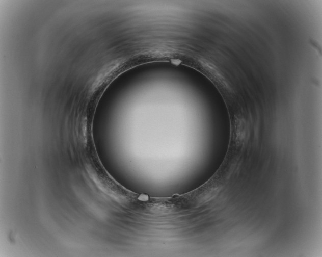 X0000099550494200805161456