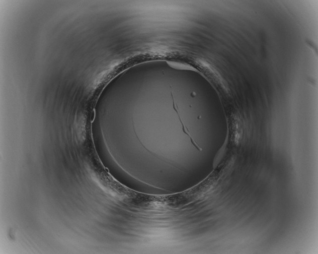 X0000099550496200805161455