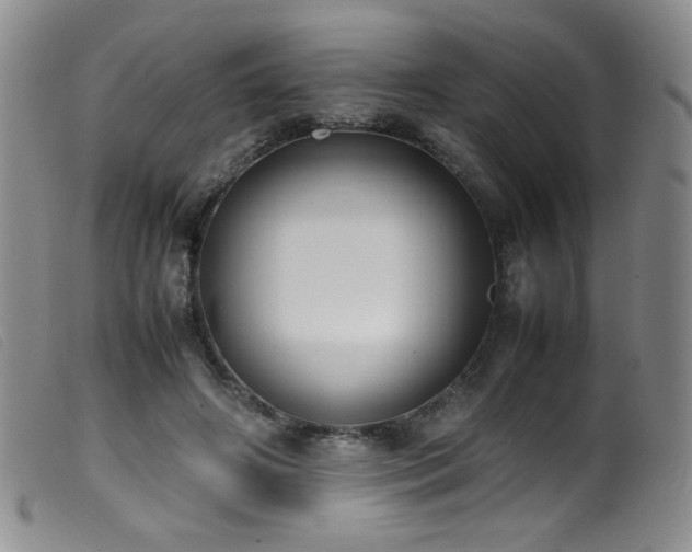 X0000099550498200805161455