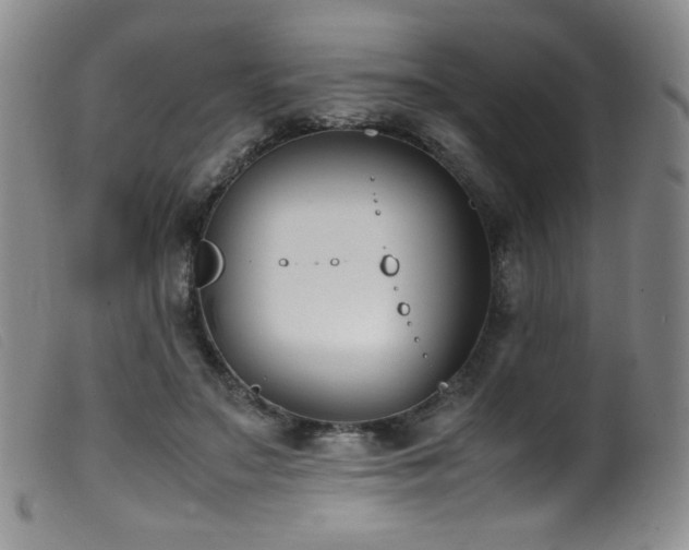 X0000099550499200805161455