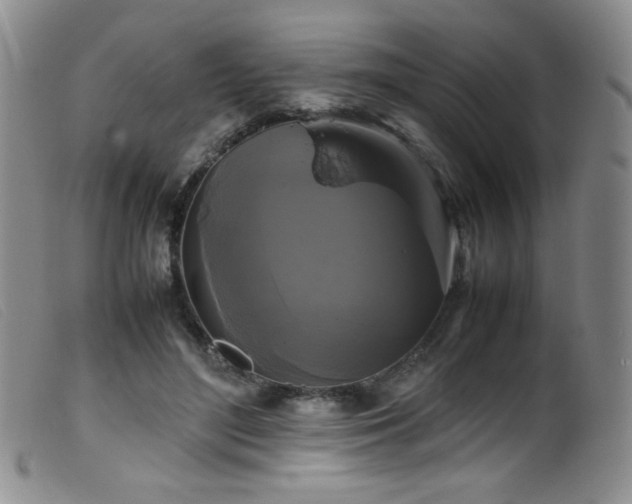 X0000099550500200805161455