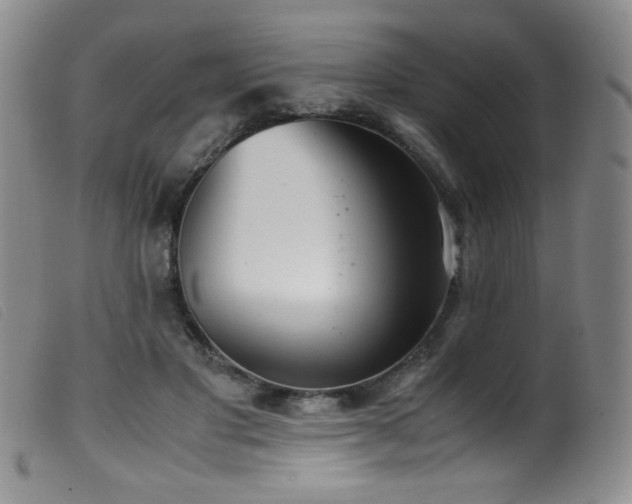 X0000099550501200805161455