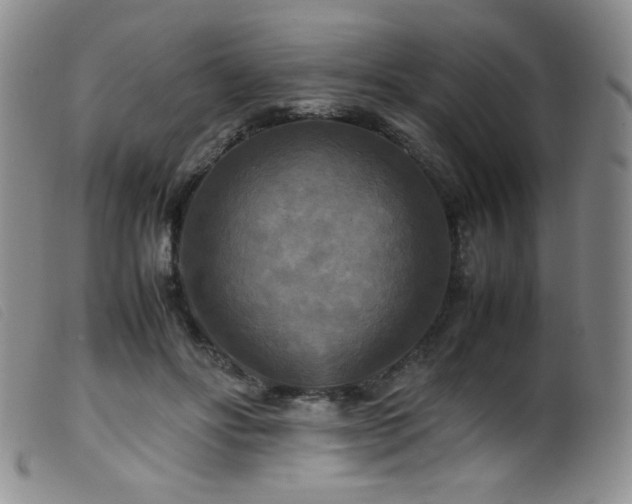 X0000099550502200805161455