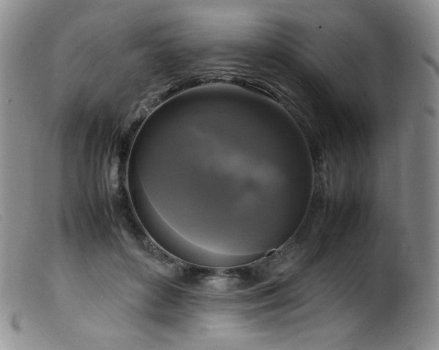 X0000099550504200805161455
