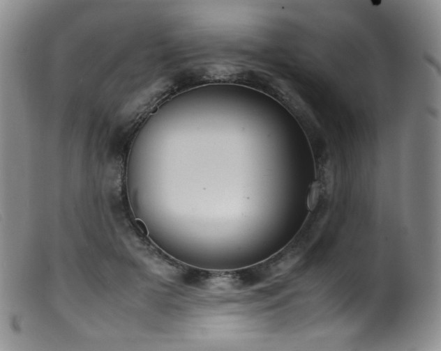 X0000099550505200805161455