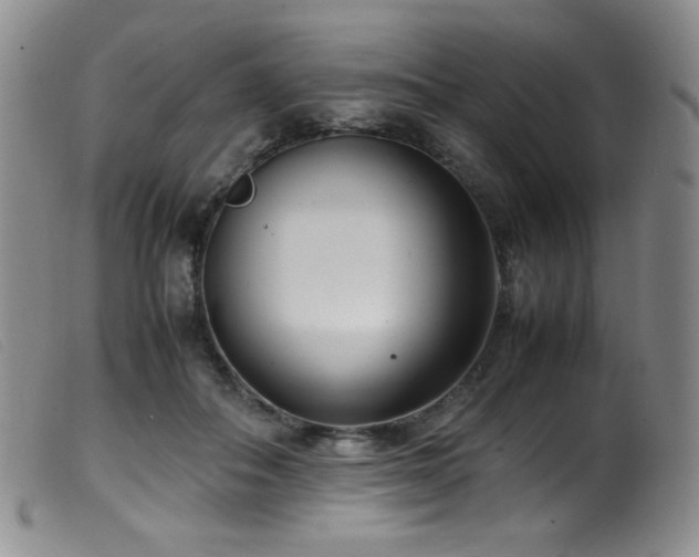 X0000099550506200805161455