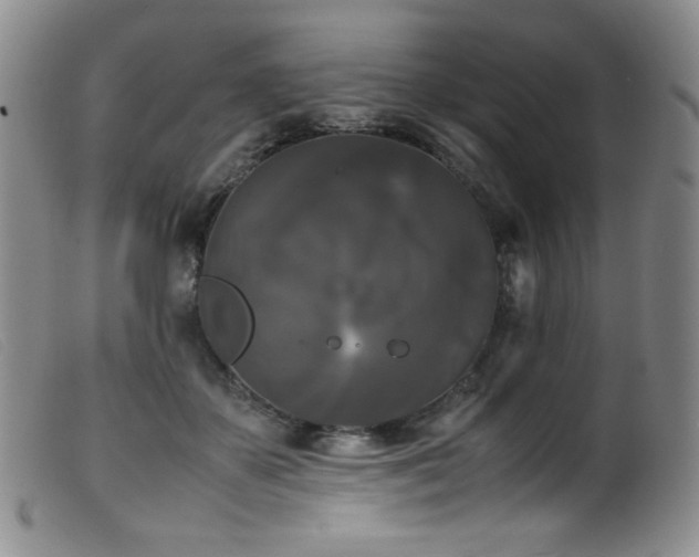 X0000099550507200805161455
