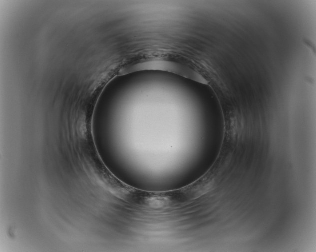 X0000099550508200805161455