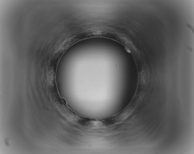 X0000099550509200805161455