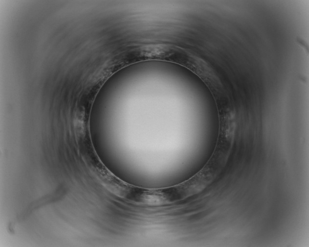 X0000099550510200805161455