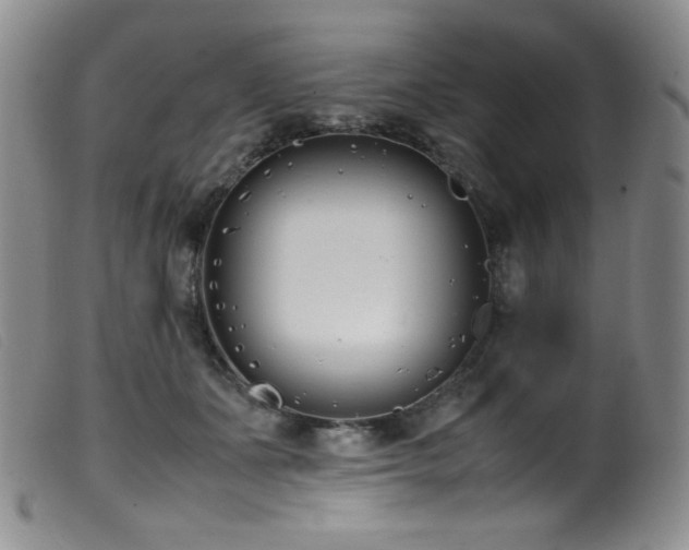 X0000099550511200805161455
