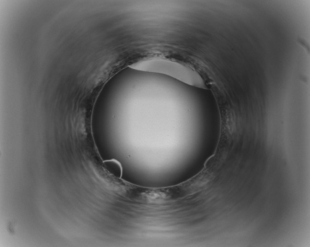 X0000099550512200805161455