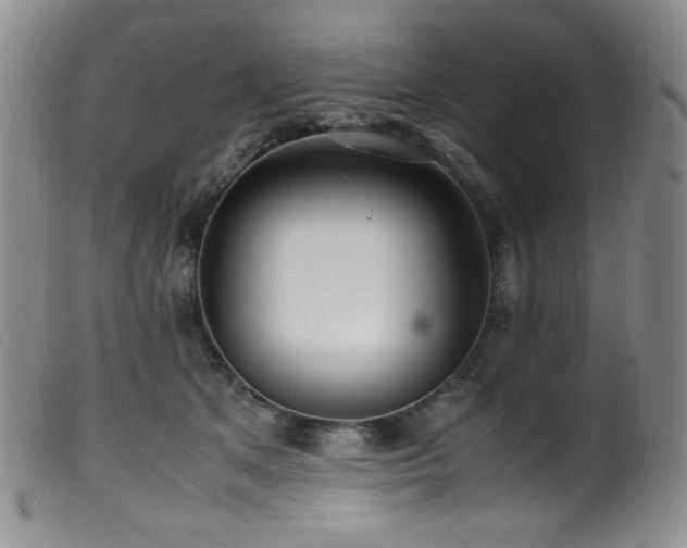 X0000099550513200805161455