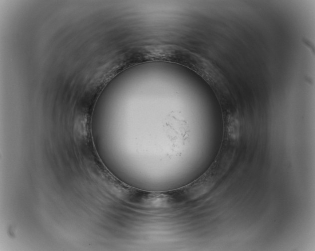 X0000099550514200805161455