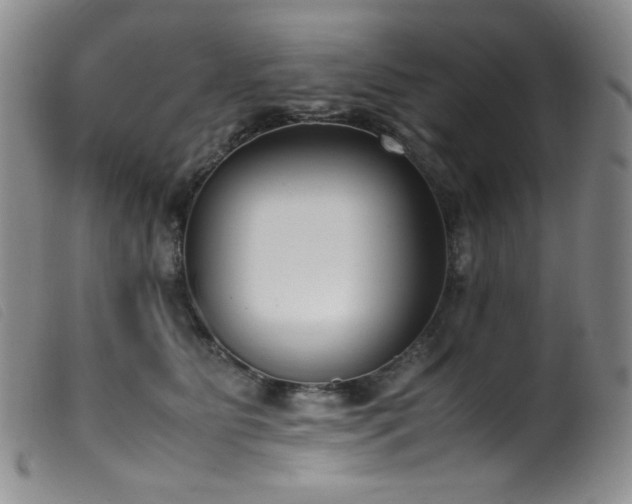 X0000099550515200805161455