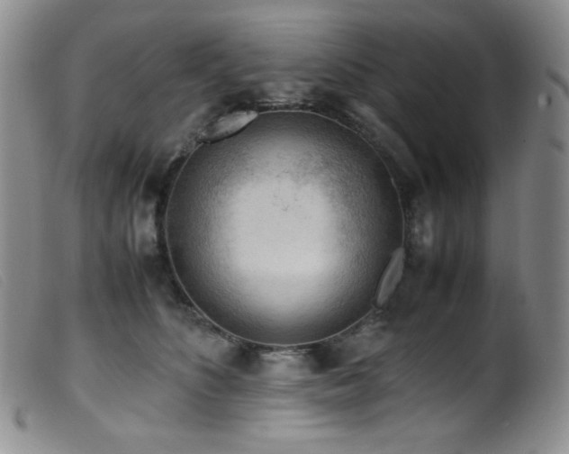 X0000099550516200805161455