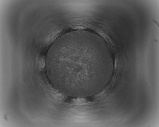 X0000099550517200805161455