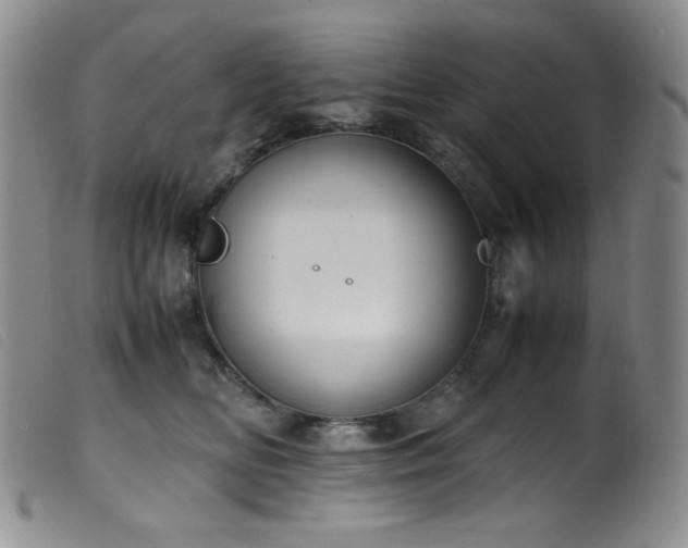 X0000099550518200805161455