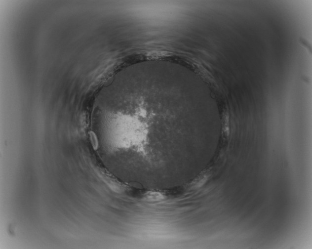 X0000099550519200805161455