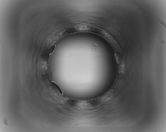 X0000099550521200805161455