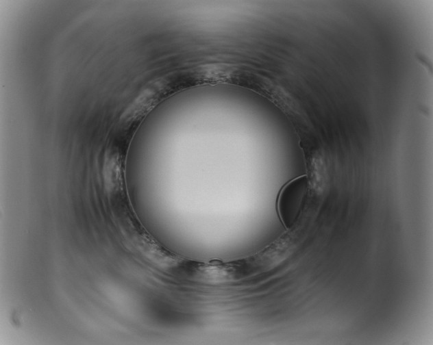 X0000099550522200805161455