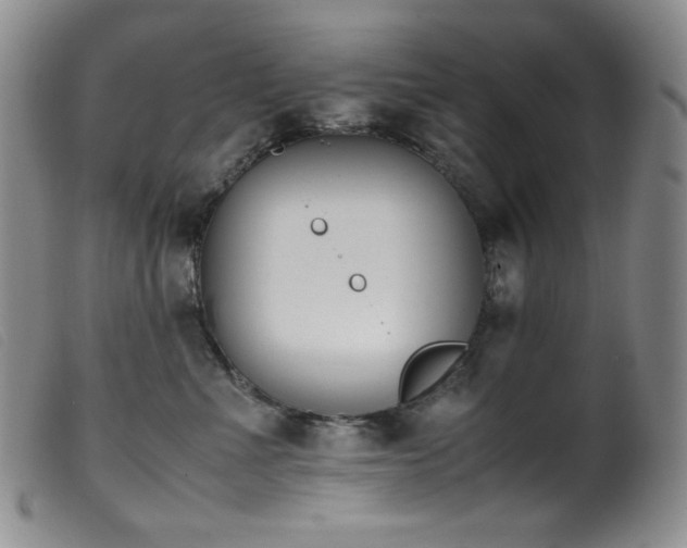 X0000099550523200805161455