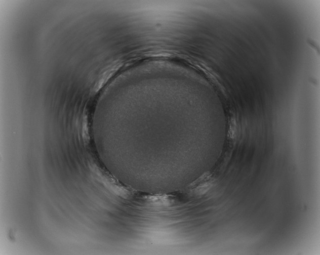 X0000099550524200805161455