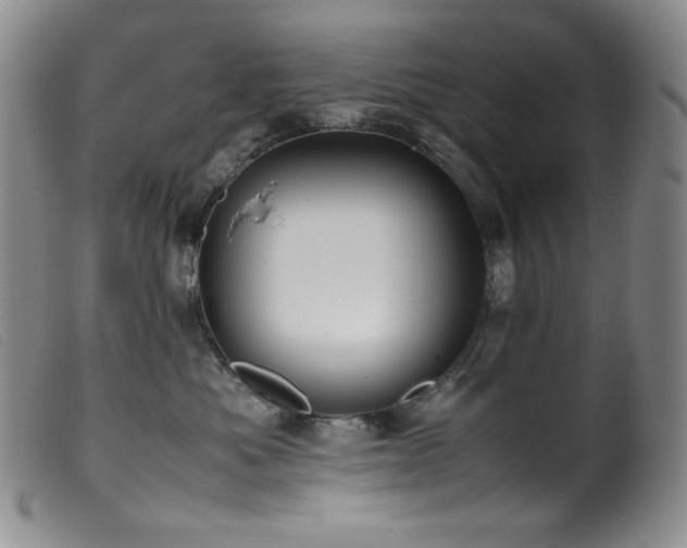 X0000099550525200805161455