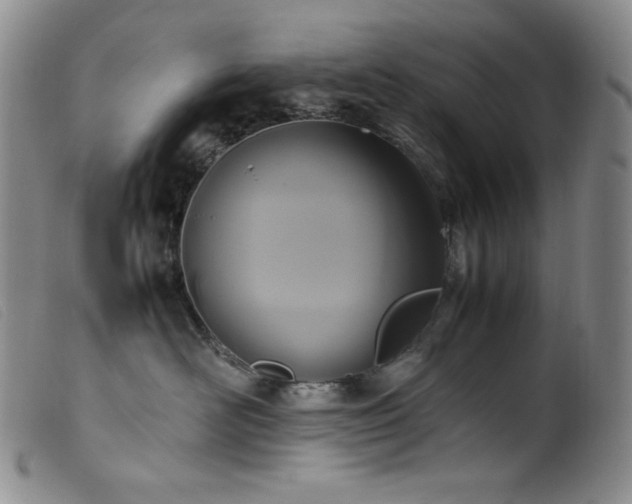 X0000099550526200805161455