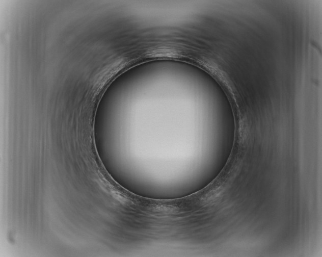 X0000099550529200805161454